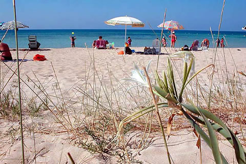 Marina di pescoluse spiaggia