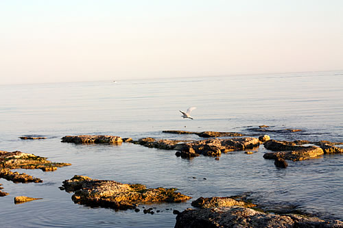 Foto Spiaggia